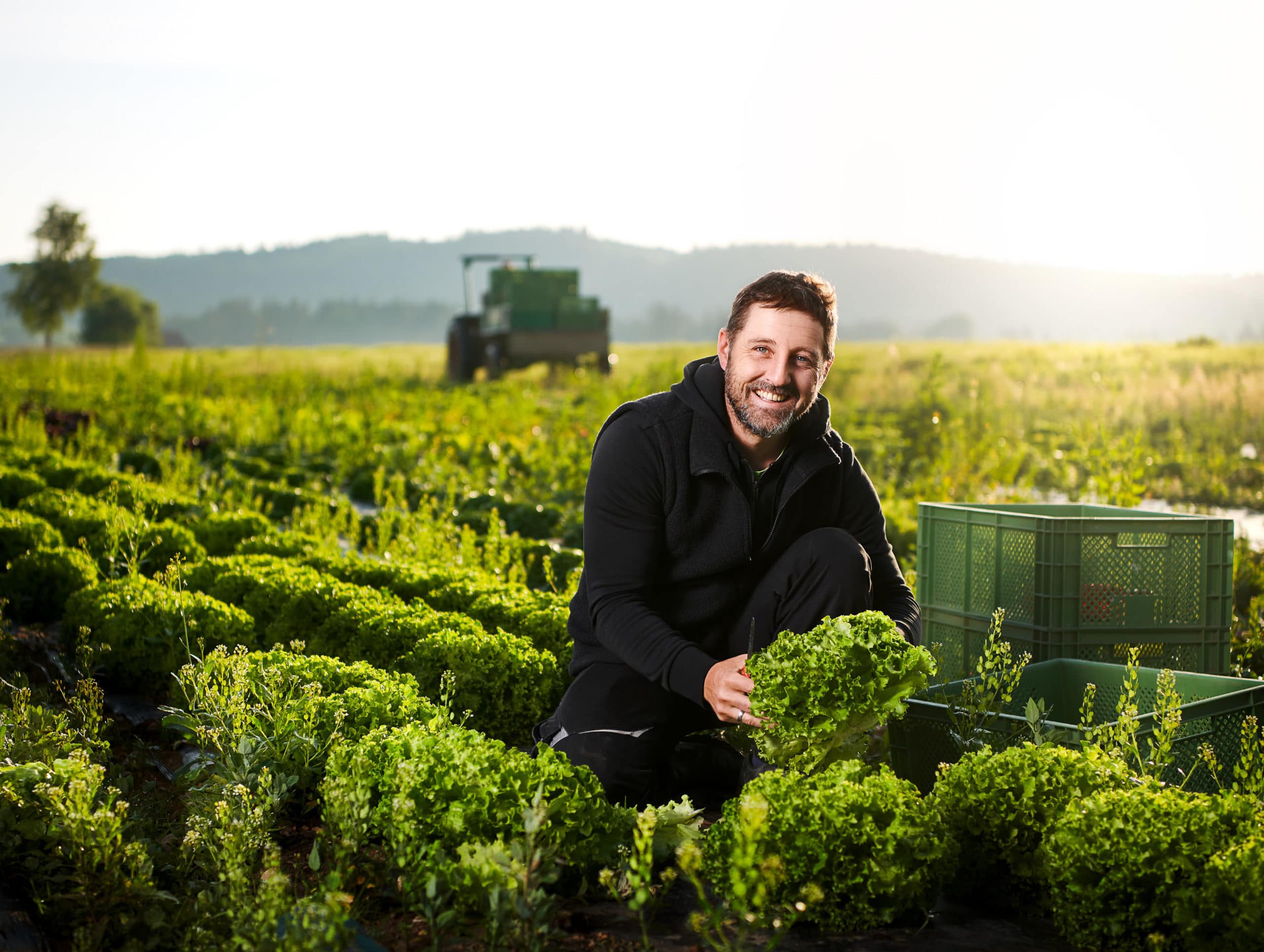 Image Aufnahme eines Bio Bauern Landwirt mit mit frischem biologisch angebautem Salat bei der Arbeit im Feld | Fotograf in der Region Osnabrück Münster Bielefeld für Imagefotografie