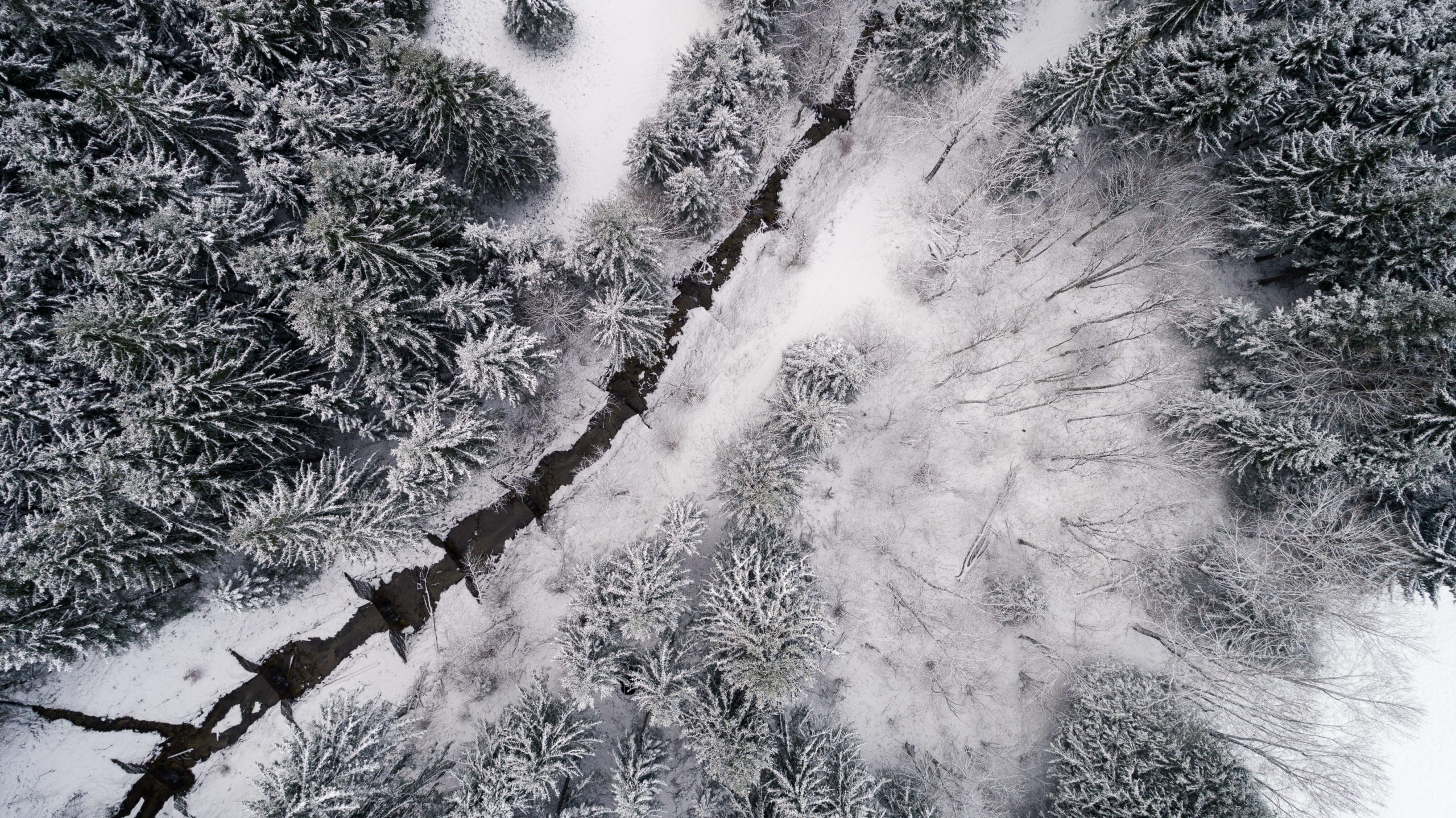 Drohnenfotografie einer eingefrorenen Landschaft im Allgäu | Werbefotograf für atemberaubende Luftaufnahmen in Osnabrück Münster Bielefeld NRW Niedersachsen und bundesweit