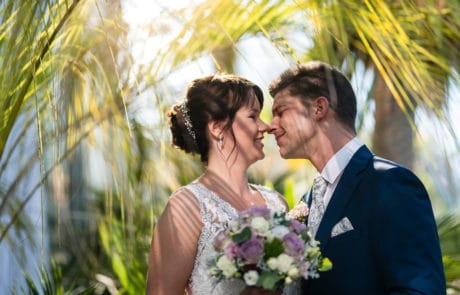 Hochzeitsportrait von Anika und Roman bei ihrer Hochzeit unter Palmen | Hochzeitsfotograf Osnabrück Münster Bielefeld